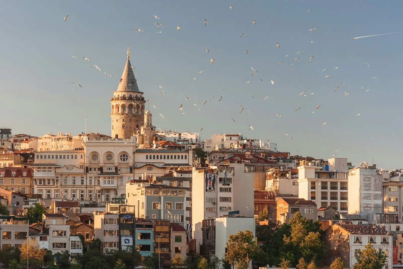 Istanbul mit Galataturm über den Dächern der Altstadt