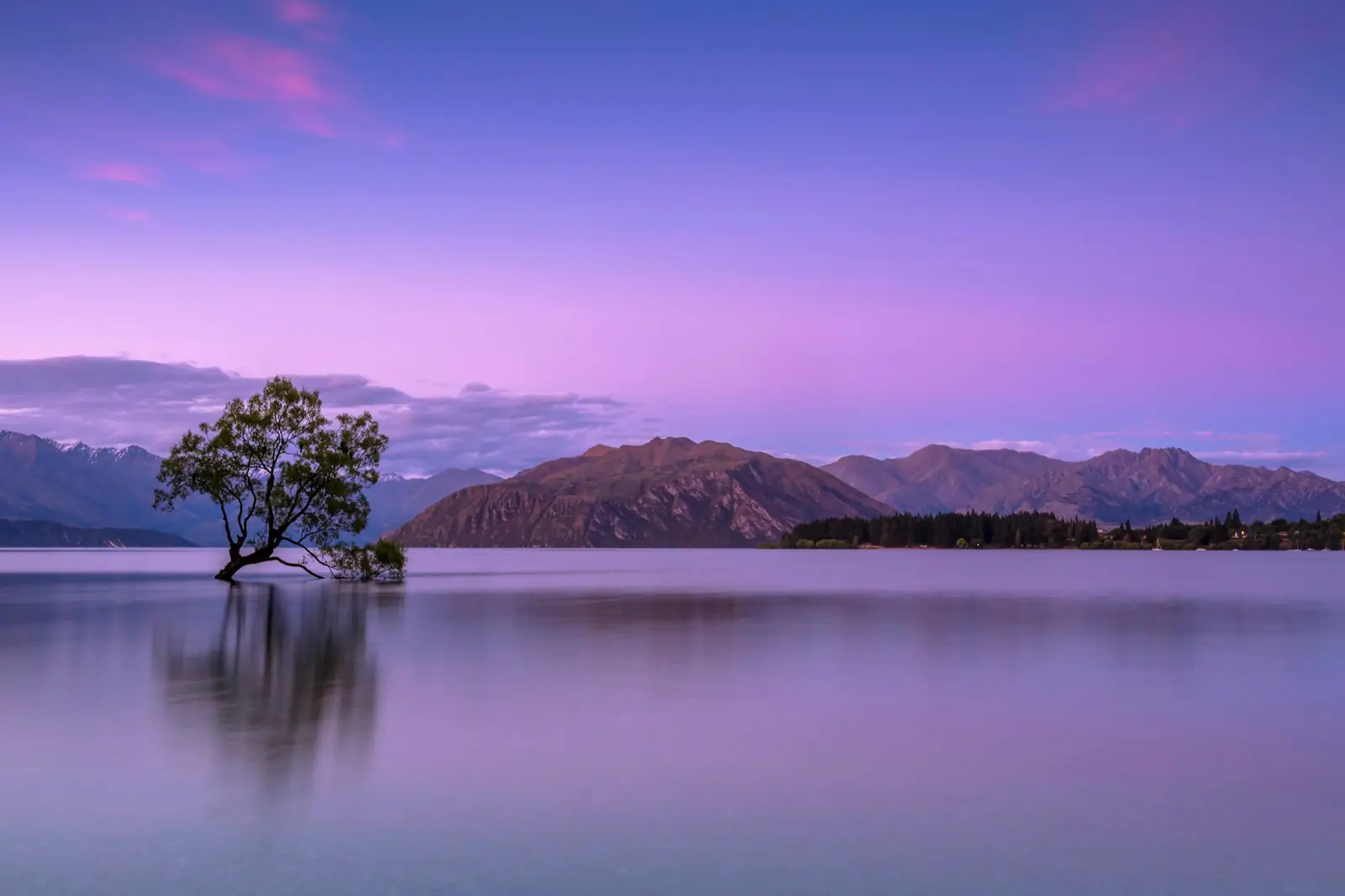 Stiller See mit einzelnem Baum in der Abenddämmerung